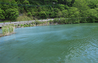 湯ノ湖-画像-1